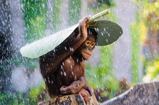 SonyWorldAwards04 Sony World Photography Awards 2015 — «сливки» фотографий всего года