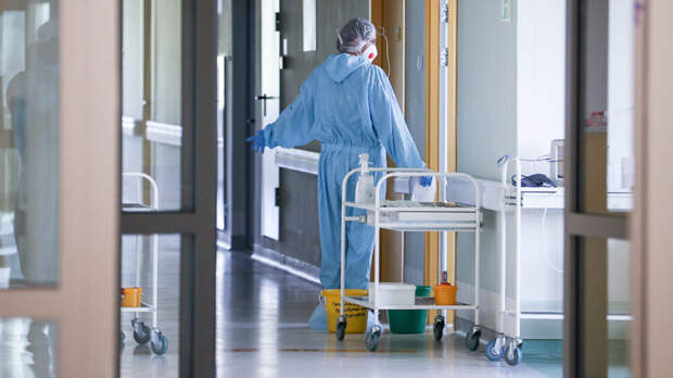 В Подмосковье выросло число заразившихся оспой обезьян