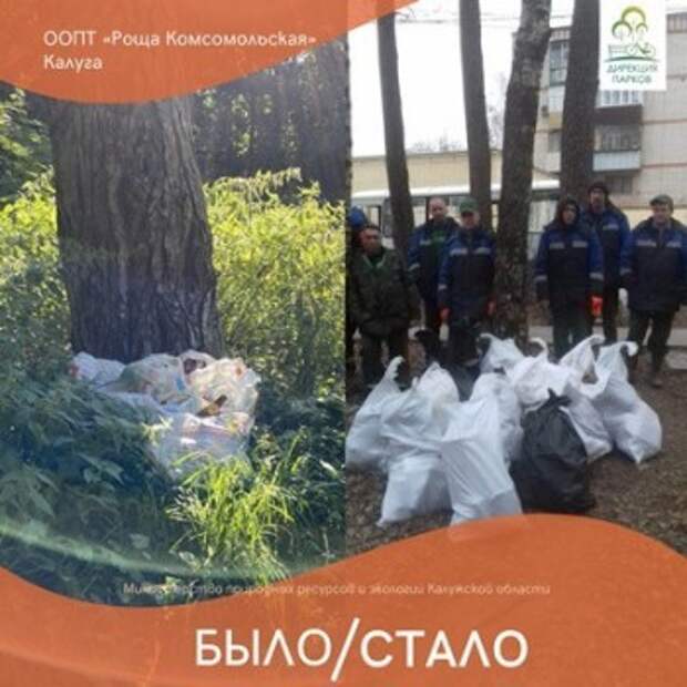 В Комсомольской роще прошла экоакция по сбору мусора