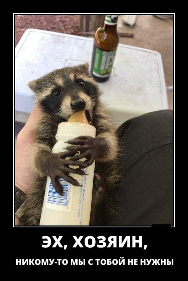 Демотиваторы