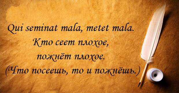 14 крылатых афоризмов на латыни афоризм, латынь