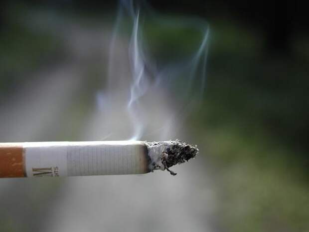 В сигаретном дыме концентрация окиси углерода превышает максимально допустимые показатели в 8 раз
