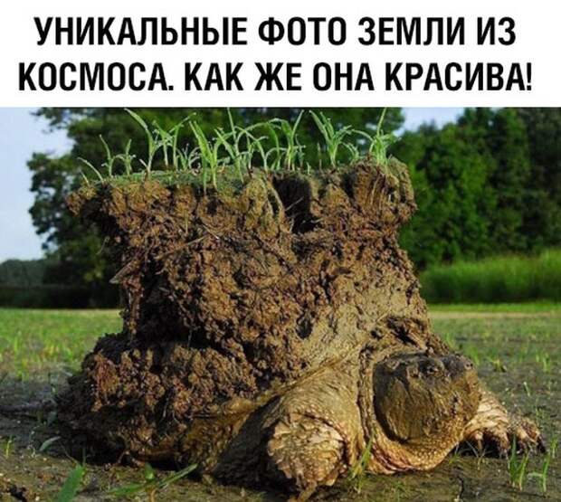 www.vsyako.net