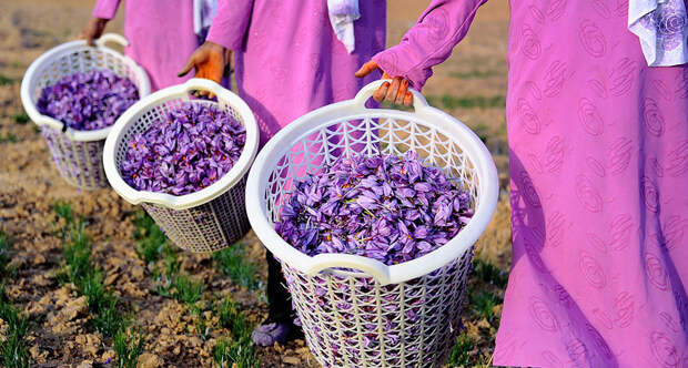 644eb8408962dd7601fb194a0c1a73fd