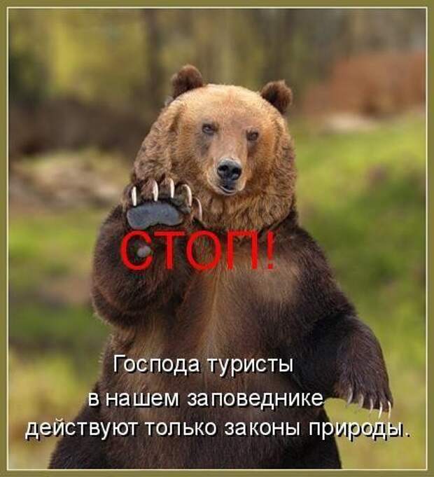 Возвращение русского медведя Возвращение русского медведя