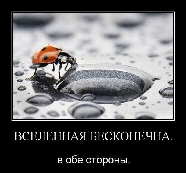 Демотиваторы (30 фото)