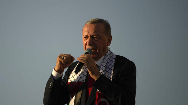 Hürriyet: Эрдоган намерен выступить с «глобальным призывом»