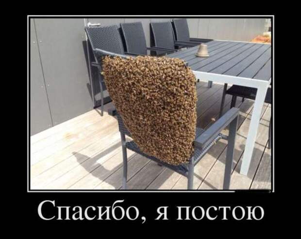 Демотиваторы. Подборка chert-poberi-chert-poberi-04220805052020-16 картинка chert-poberi-04220805052020-16