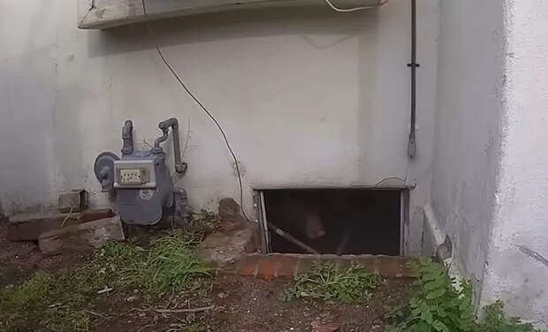 Источник фото: Ken Johnson/KTLA 5