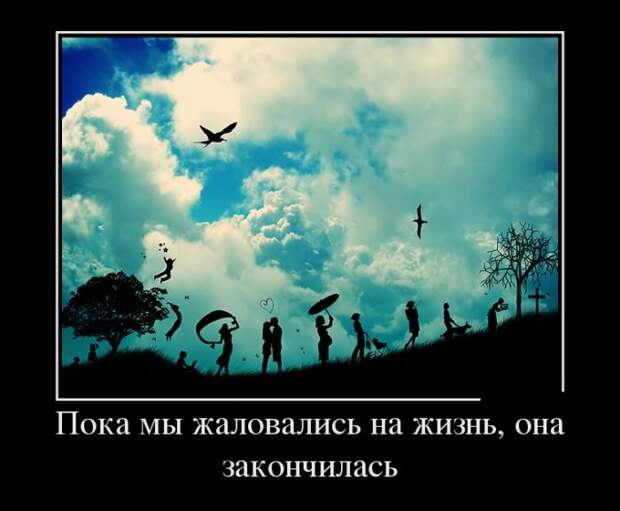 Демотиваторы (30 фото)