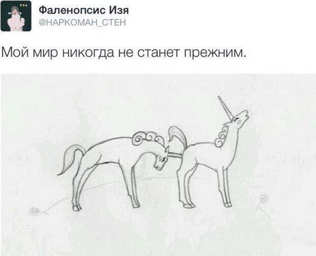 Смешные комменты из соцсетей и не только #37 Смешные комменты из соцсетей и не только #37 комменты, прикол, соцсети, умора, юмор