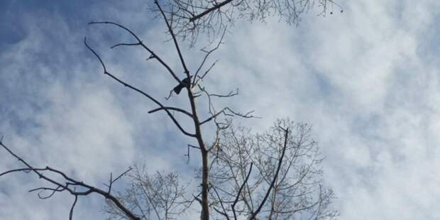 Мурманская область готовится к штормовому ветру и резкому похолоданию