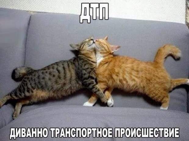 Новые фотомемы для хорошего настроения (27 шт)
