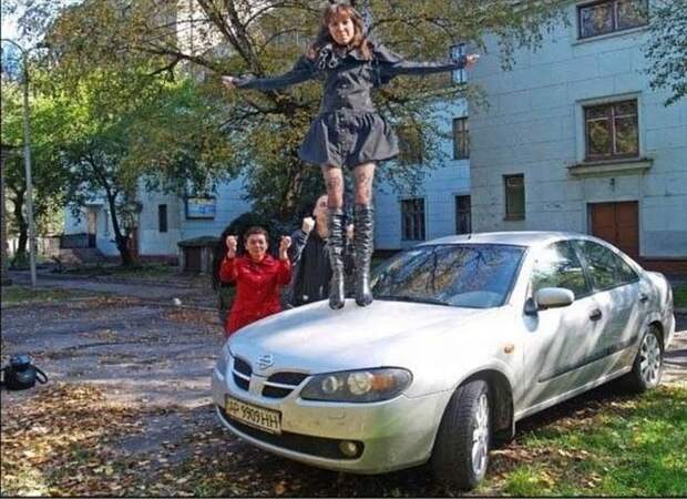 Прикольные картинки Прикольные картинки