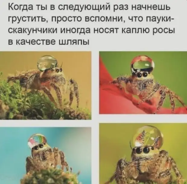 Немного юмора в начале недели