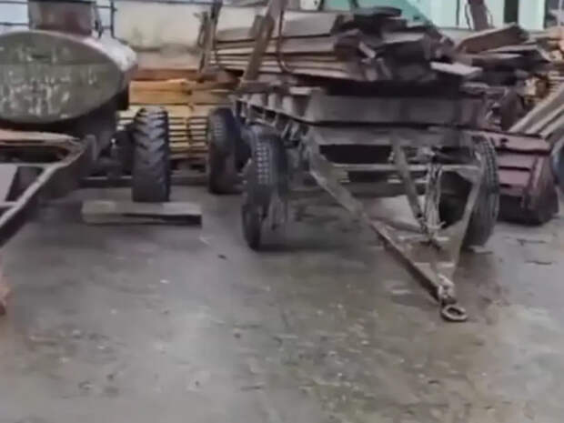 Трех человек будут судить за незаконную вырубку леса