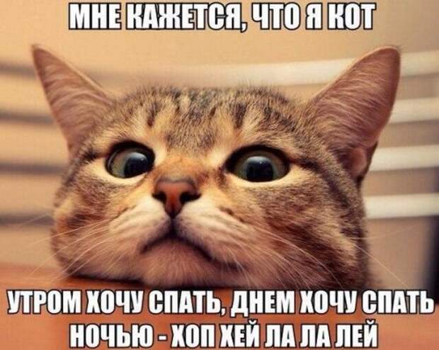 Новые смешные анекдоты (12 шт)
