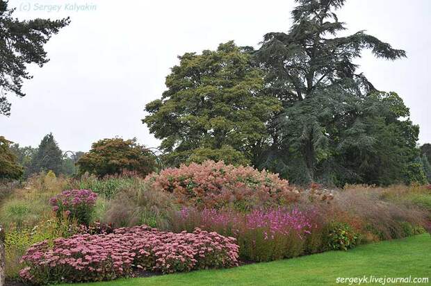 Trantham Gardens 359.JPG