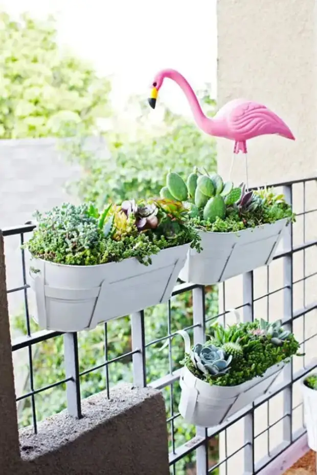 Оптимальный вариант для небольшого балкона: размещение растений на перилах в специальных подвесных горшках