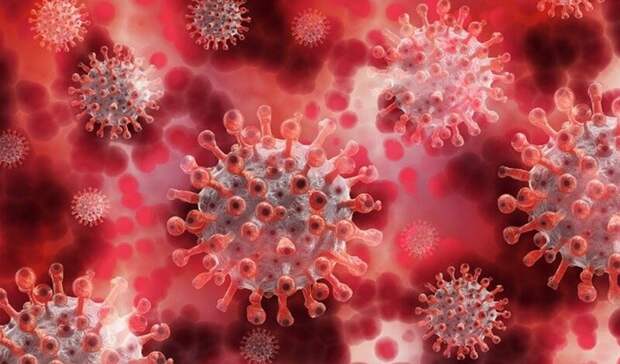 Власти Ростова рассказали о работающих пунктах вакцинации от коронавируса в январе