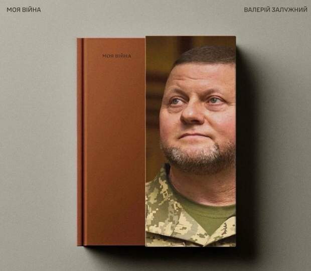 Экс-главком ВСУ Залужный презентовал свою книгу с красноречивым названием Mein Krieg