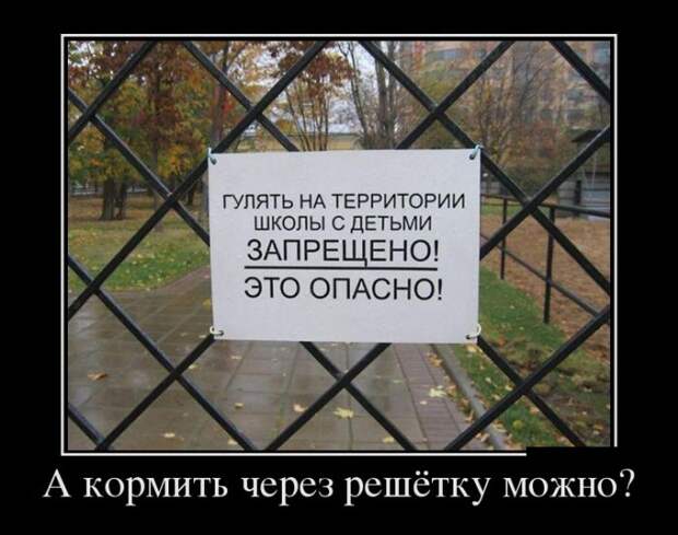 Подборка вечерних демотиваторов для настроения (12 фото)