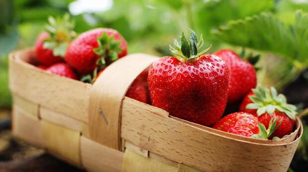 Названы снижающие риск развития деменции продукты