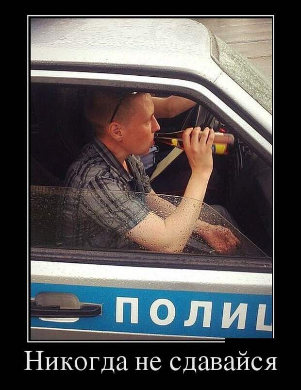 Демотиваторы (30 фото)