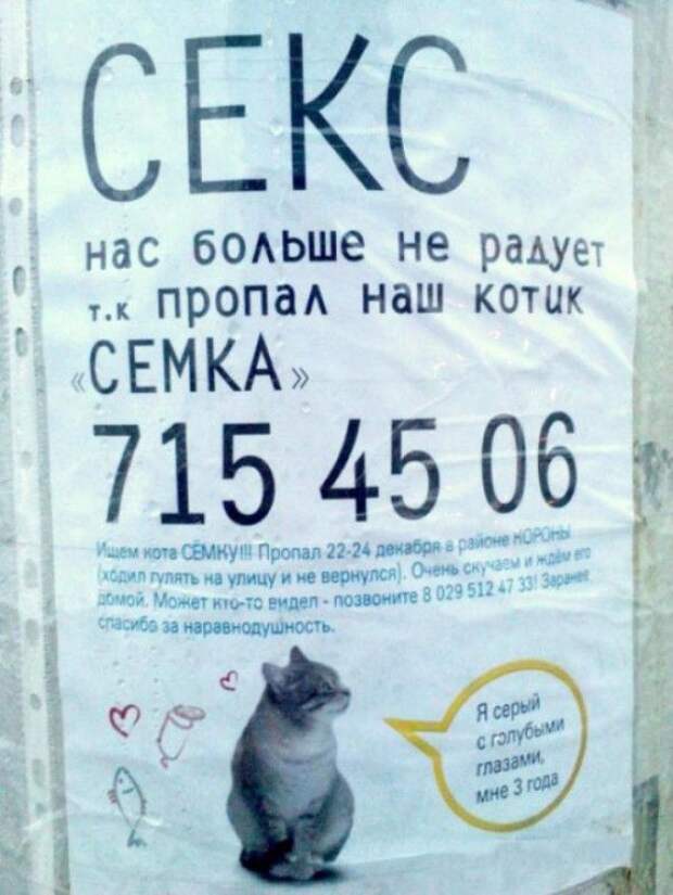 Нарочно не придумаешь Подборка забавных объявлений