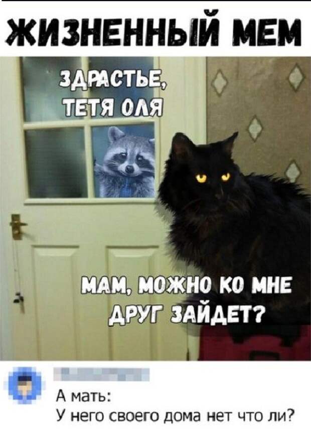 картинки с надписями ржачные