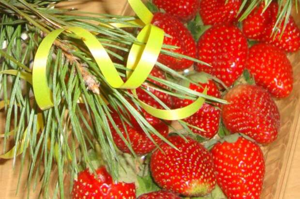 Встречаем год Красной Огненной Лошади: меню и атмосфера для удачи