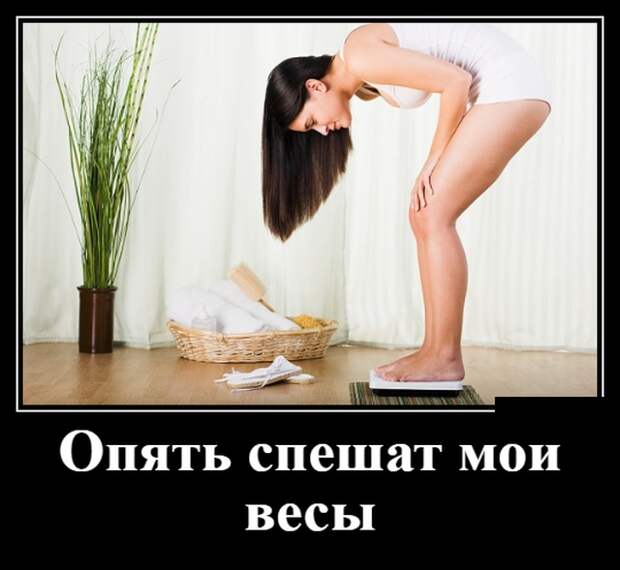 www.vsyako.net