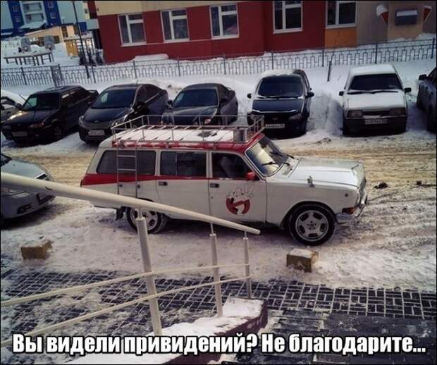 прикольные картинки