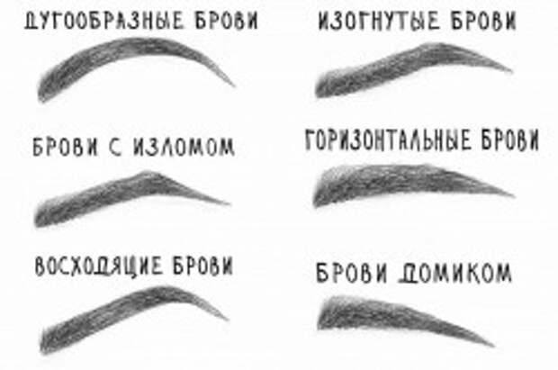 Варианты естественой формы бровей