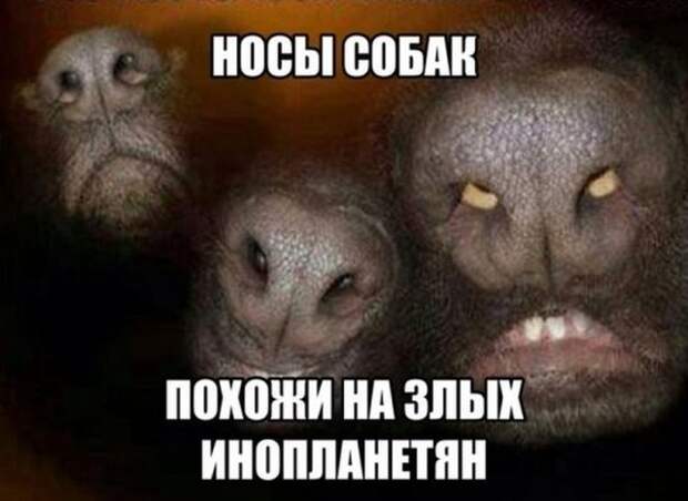 Подборка новых прикольных картинок (27 фото)
