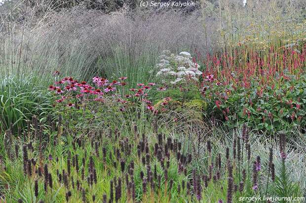 Trantham Gardens 490.JPG