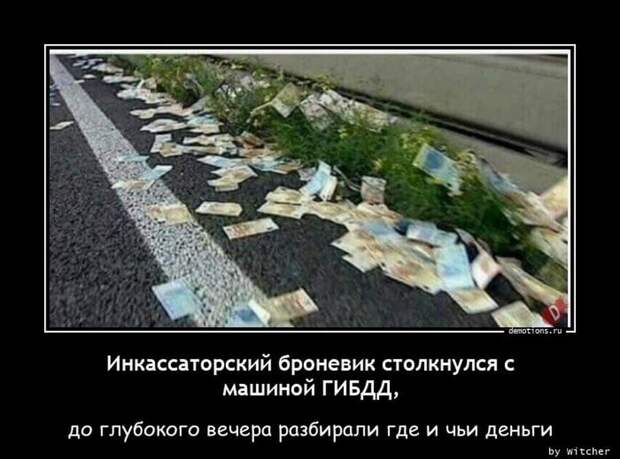 Пятничные демотиваторы: праздники, социум и живность