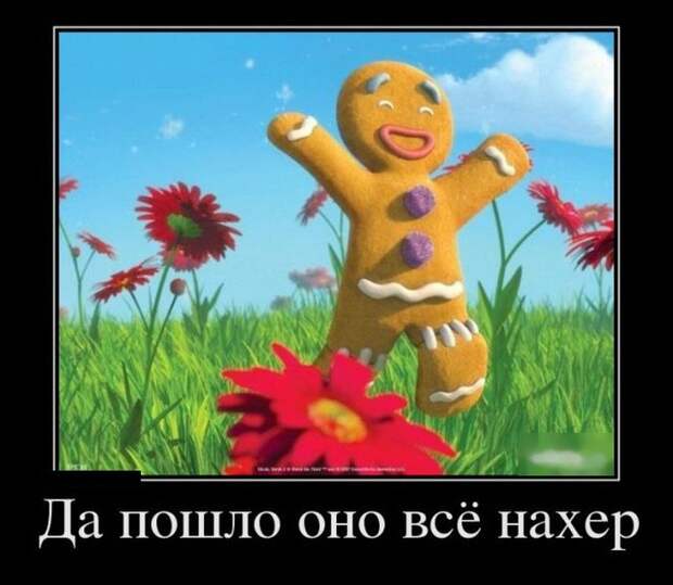 Демотиваторы