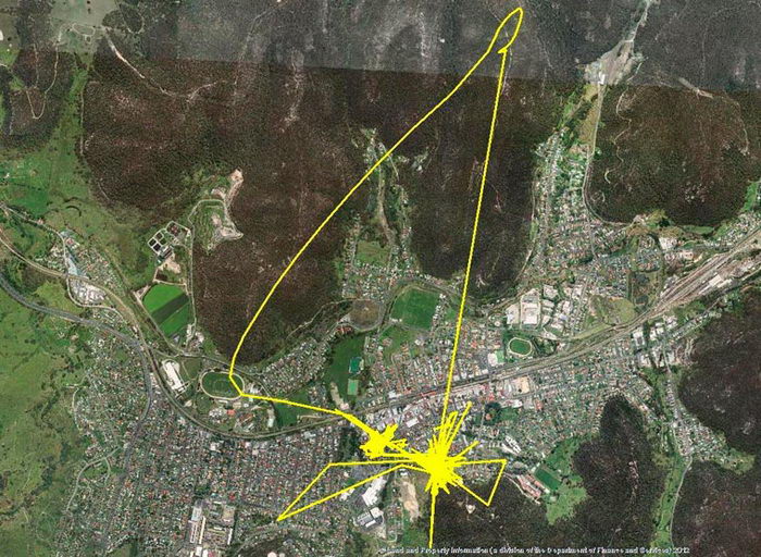 Куда ходит ваша кошка ночью: GPS-анализ похождений Куда ходит ваша кошка ночью: GPS-анализ похождений