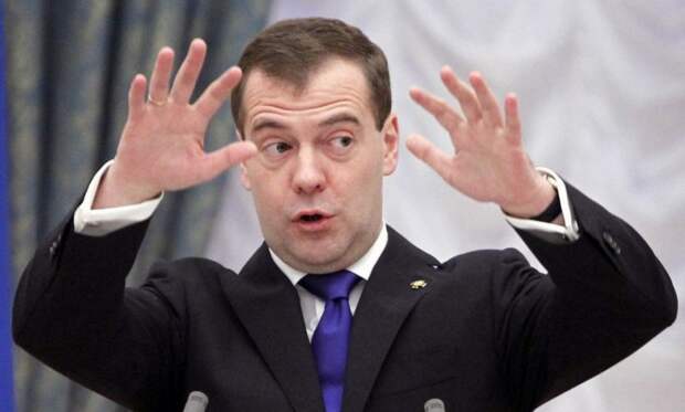 Медведева обвинили в организации валютной паники среди населения 