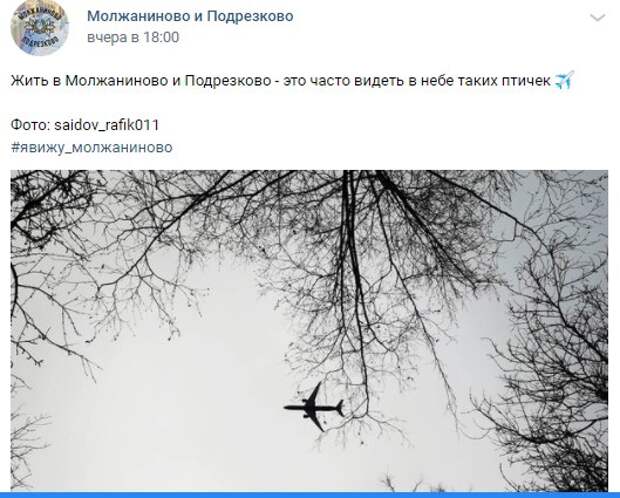 Фото дня: стальные птицы над Молжаниновским