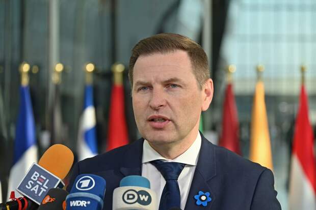 Певкур: Эстония не стала сбивать беспилотник ВСУ, чтобы не конфликтовать с РФ