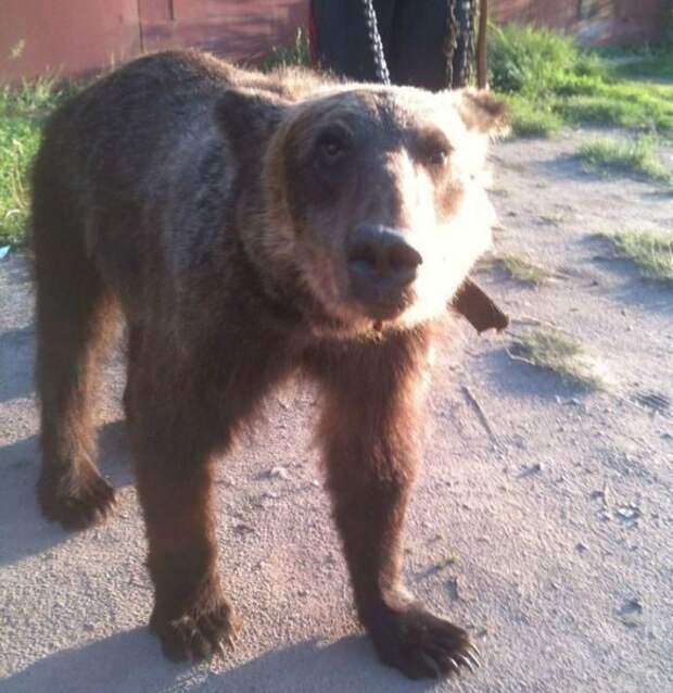 Все в порядке, вы в России!