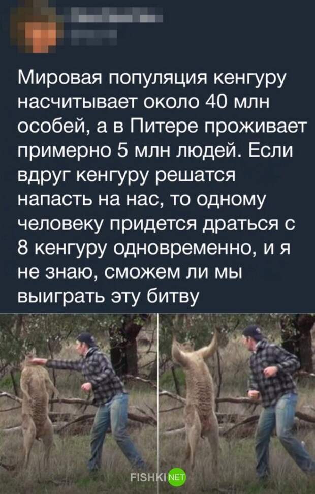 Картинки с надписями для настроения от TainT за 24 октября 2018 картинки с подписями, мэмы, подборка, позитив, юмор