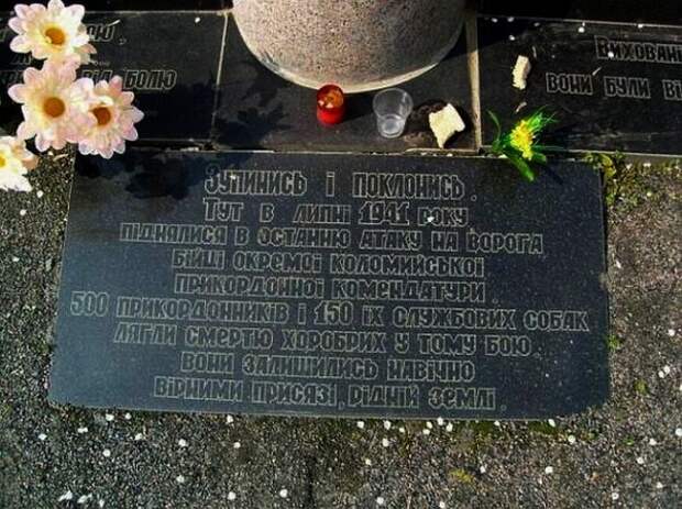 Псы войны война, история, ссср, факты