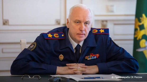 Бастрыкин взял на контроль уголовное дело об избиении девочки в Подмосковье