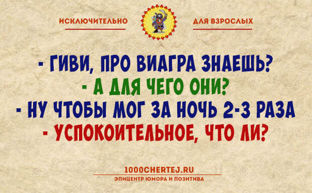 Авторизация пройдена! Подборка анекдотов для тех, кто считает себя взрослым