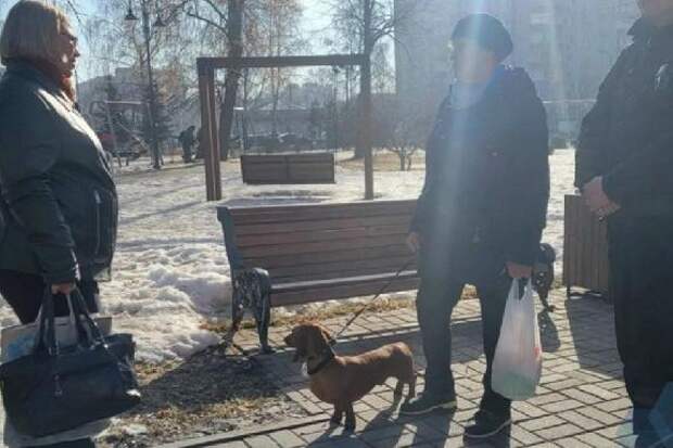 Тамбовчанам напомнили правила выгула питомцев