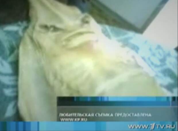 6 Азовское море