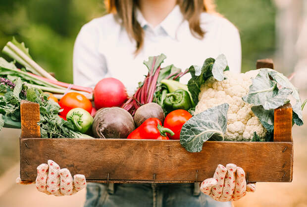 Какой урожай собирать в августе? Фрукты, овощи и ягоды, которые созревают в огороде к концу лета